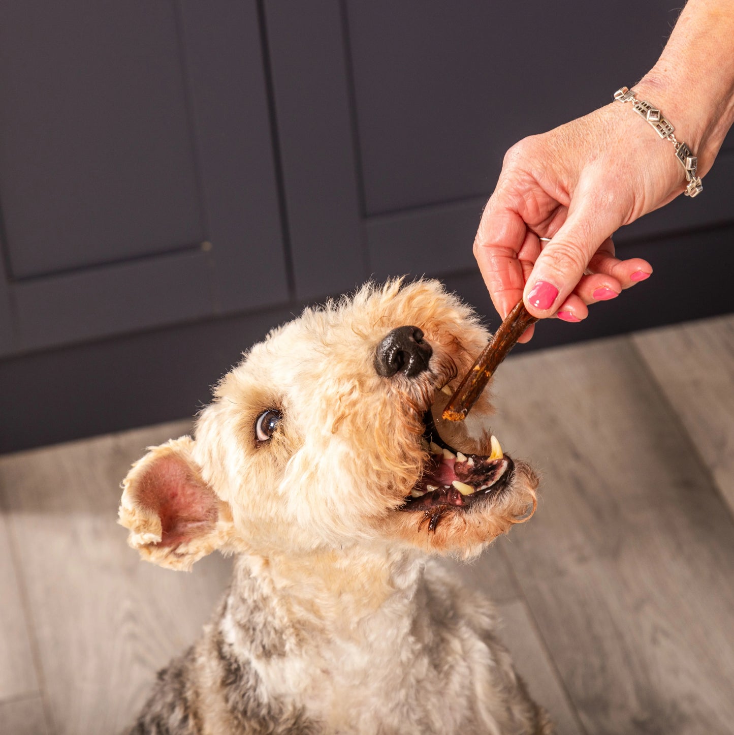 Gourmet 100% Pure Meat Soft Sticks For Dogs & Cats Pack Of 5