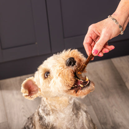 Gourmet 100% Pure Meat Soft Sticks For Dogs & Cats Pack Of 5