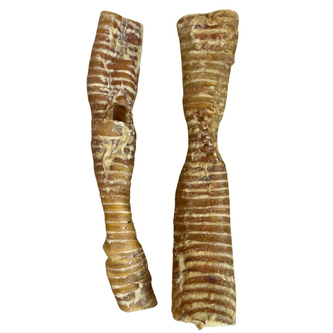 Natural Buffalo Tracheas for Dogs 25cm