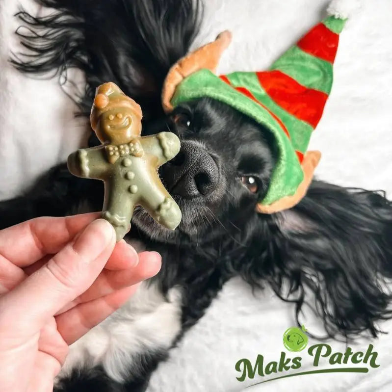 Maks’Patch Ginger & Dasher Christmas Veggie Treats Large 12cm