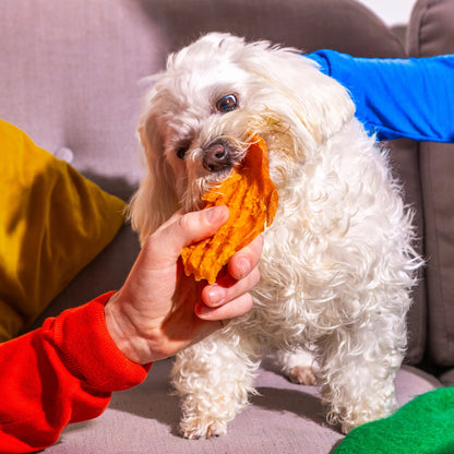Sweet Potato Slices 180g Dog Treats