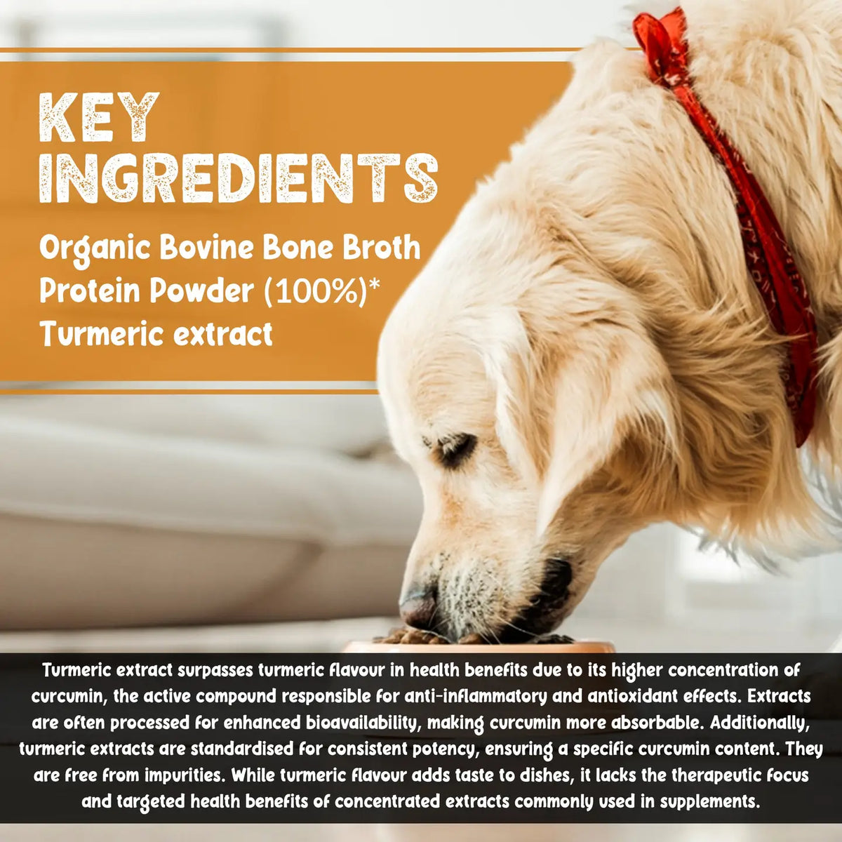 Organic Beef Bone Broth With Turmeric 250g For Cats & Dogs