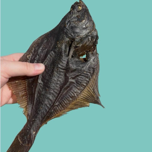 Natural Flounder Fish Dog Treat