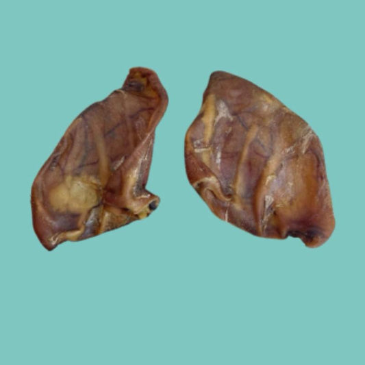 Large Pigs Ears for Dogs