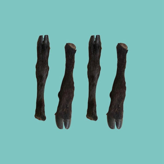 Hairy Lamb Legs For Dogs