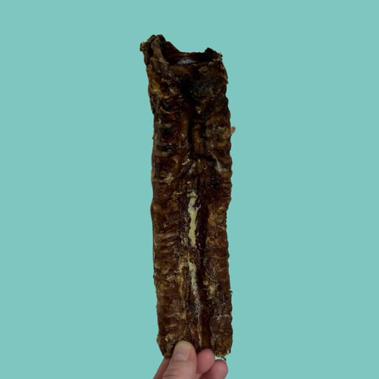 Natural Buffalo Tracheas for Dogs 25cm