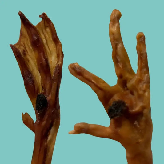 Natural Chicken and Duck Feet Treat Box for Dogs