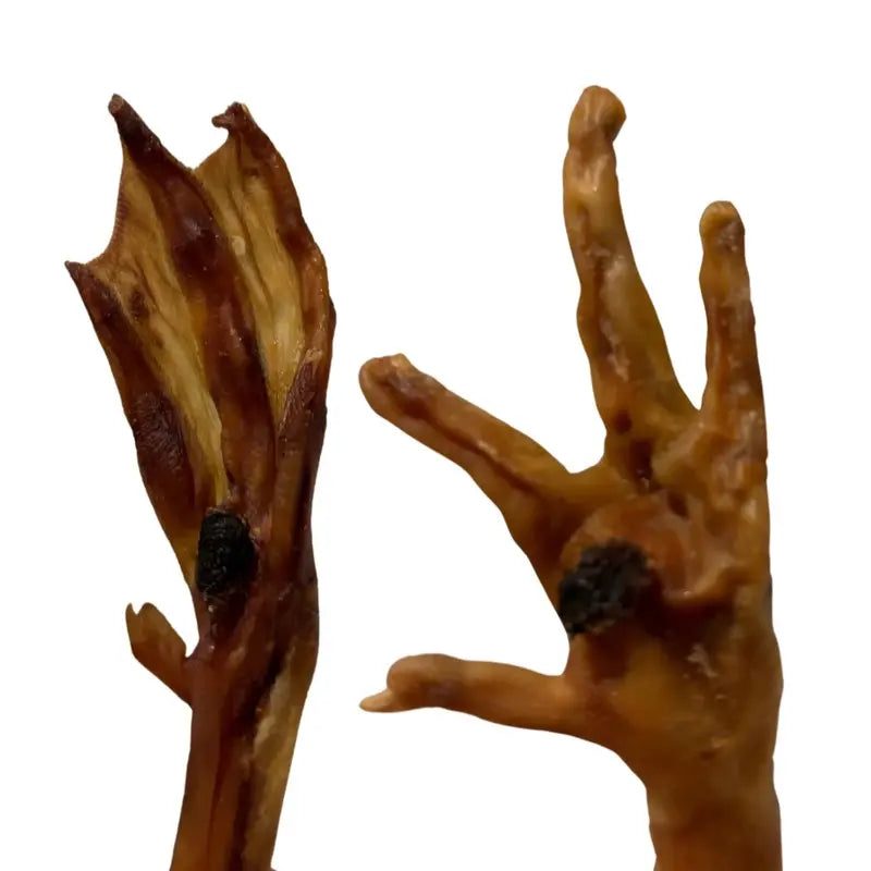 Natural Chicken and Duck Feet Treat Box for Dogs